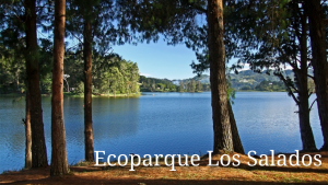 Vista panorámica de la Represa La Fe en el Ecoparque Los Salados, un destino ideal para disfrutar la naturaleza cerca de Medellín.